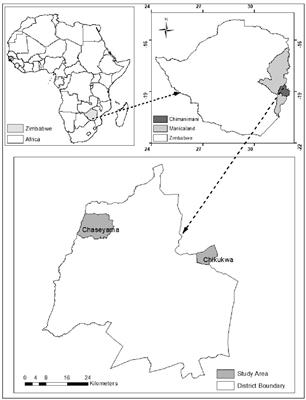 Comparing the contribution of formal and local seed systems to household seed security in eastern Zimbabwe